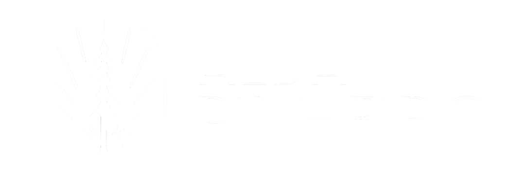 ALDA PINHEIRO (5)