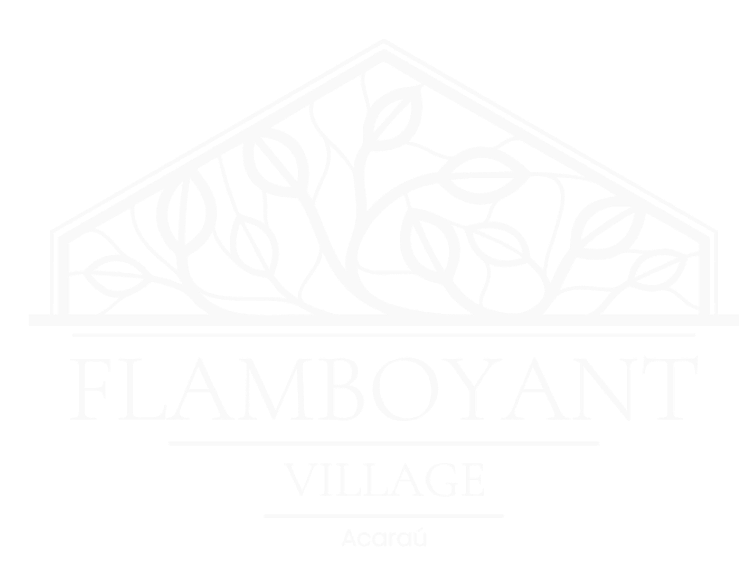 FLAMBOYANT - VEM AI (1)