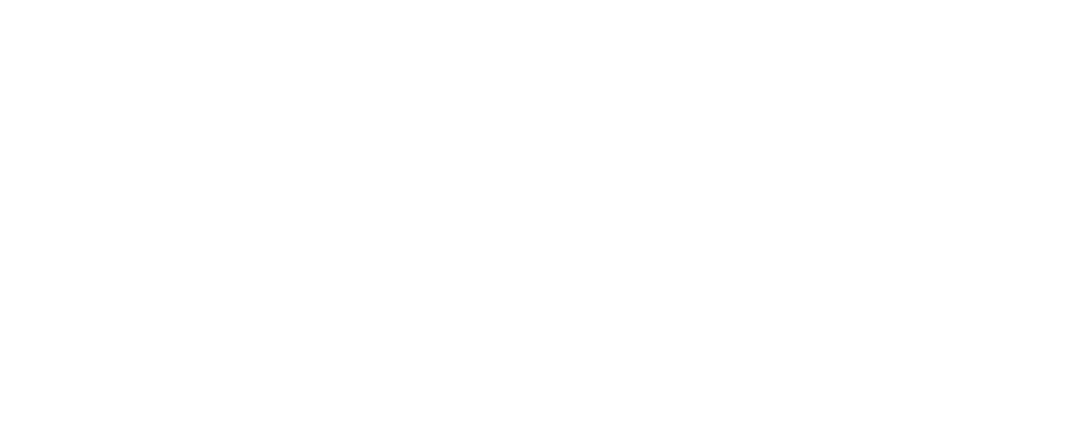 SOLAR MAX PNG